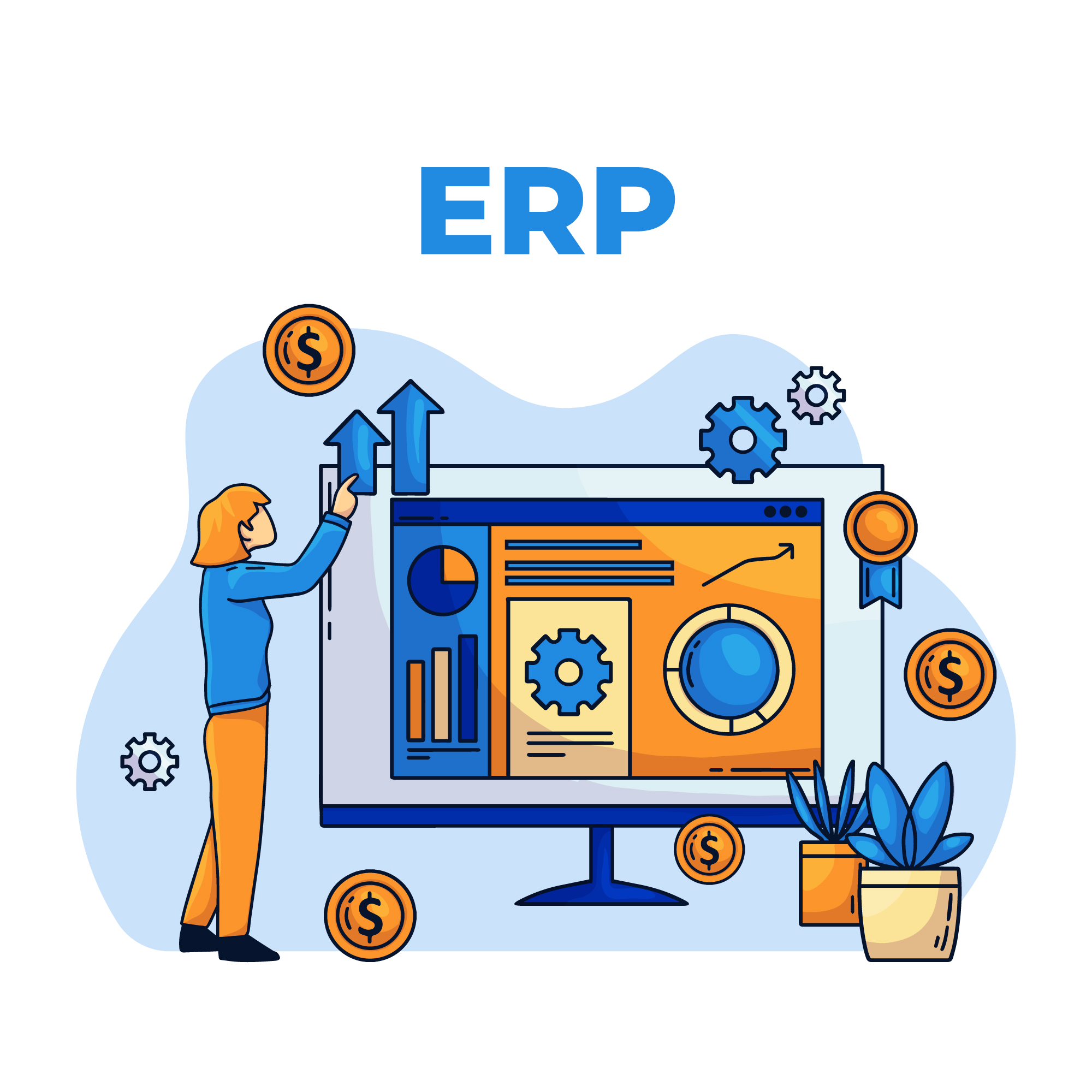 erp-system nettbutikk