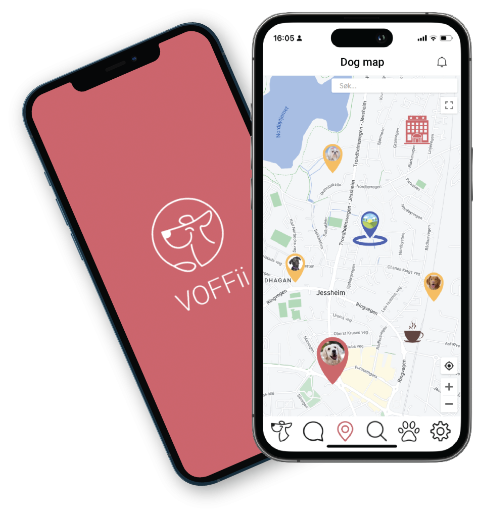 apputvikling ios og android